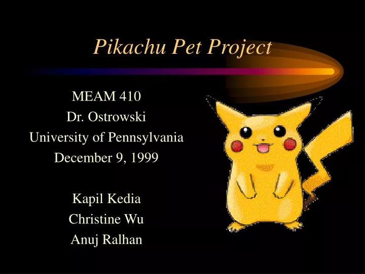 pikachu pet project