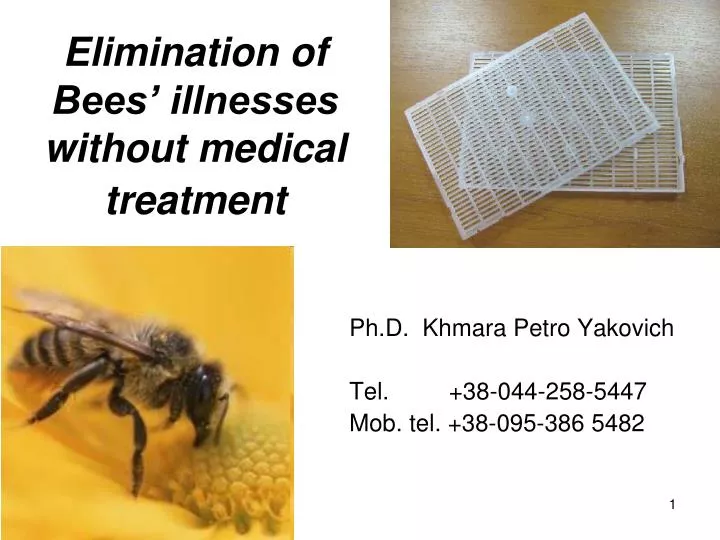 elimination of bees illnesses without medical treatment