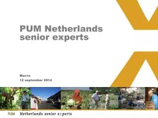 pum netherlands senior experts