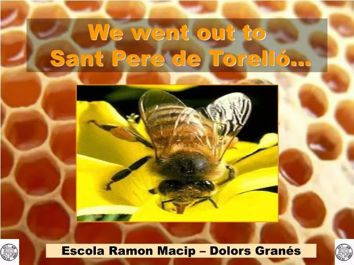 we went out to sant pere de torell