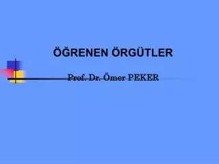 renen rg tler prof dr mer peker