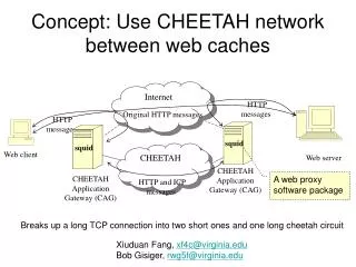 Concept: Use CHEETAH network between web caches