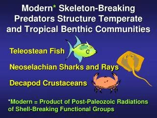 Modern * Skeleton-Breaking Predators Structure Temperate and Tropical Benthic Communities