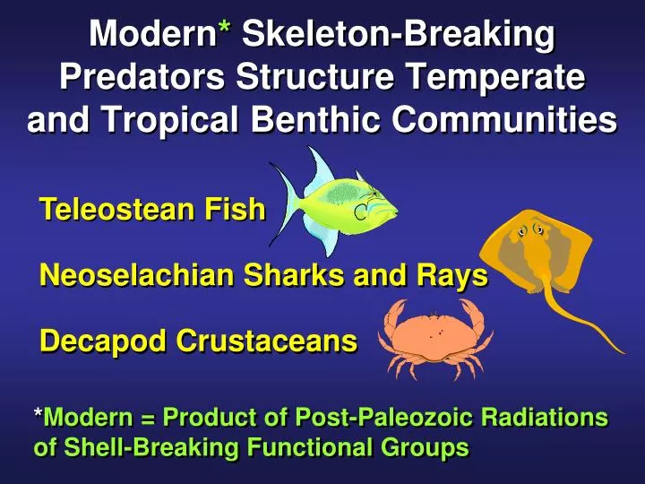 modern skeleton breaking predators structure temperate and tropical benthic communities