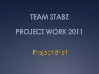 TEAM STABZ PROJECT WORK 2011