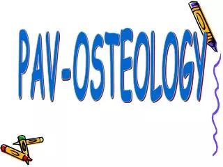 PAV-OSTEOLOGY