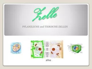 zelle