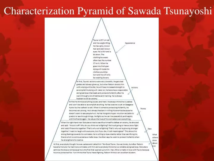 characterization pyramid of sawada tsunayoshi