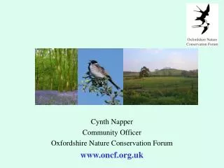 Cynth Napper Community Officer Oxfordshire Nature Conservation Forum oncf.uk