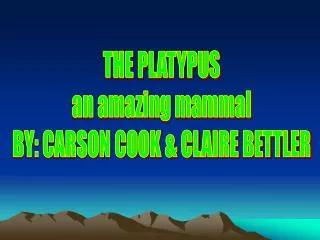 THE PLATYPUS an amazing mammal BY: CARSON COOK &amp; CLAIRE BETTLER