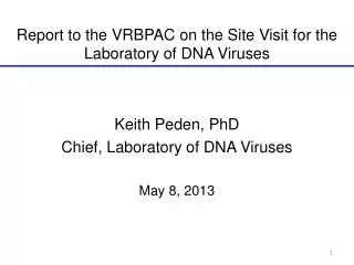 Report to the VRBPAC on the Site Visit for the Laboratory of DNA Viruses