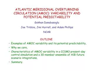 OUTLINE Examples of AMOC variability and its potential predictability, Why we care,