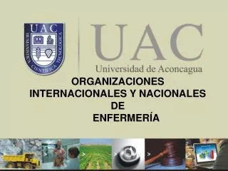 fundamentos de salud