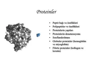 proteinler