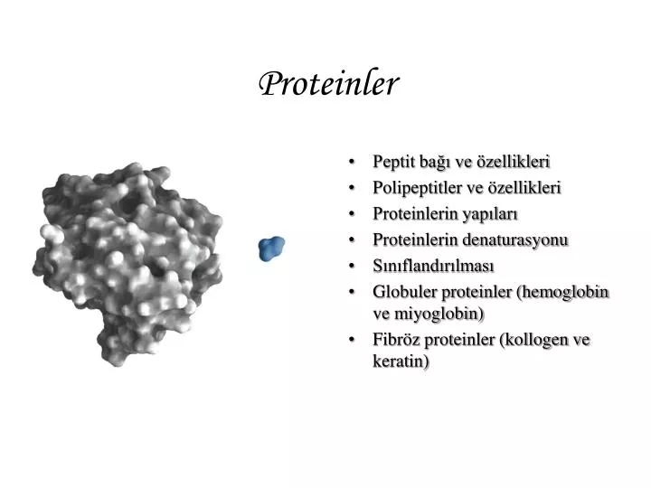 proteinler