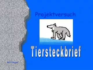 projektversuch