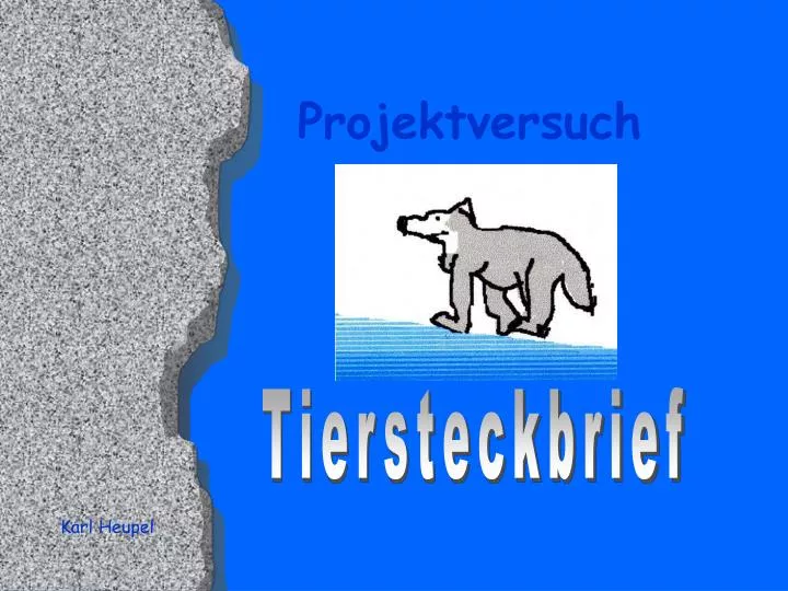 projektversuch