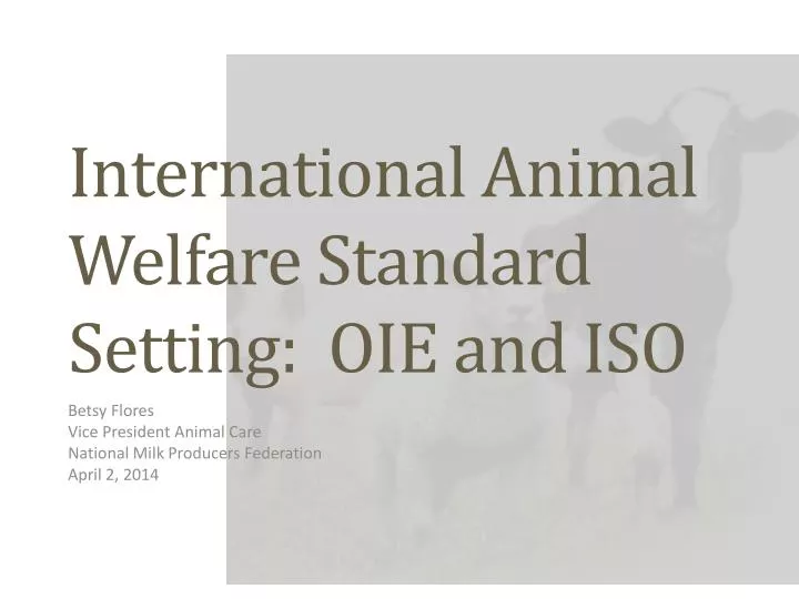 international animal welfare standard setting oie and iso