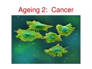 Ageing 2: Cancer