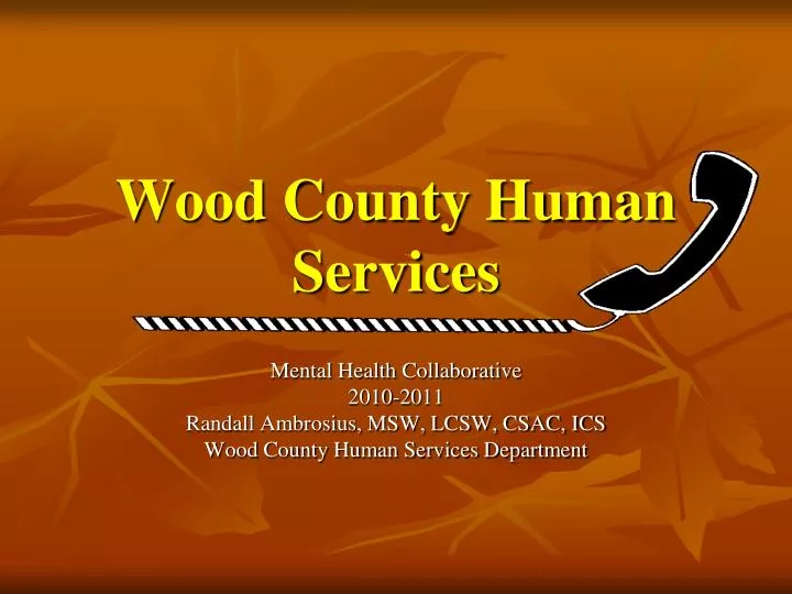 wood county human services