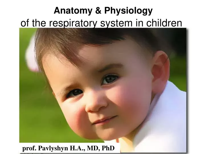 anatomy physiology of the respiratory system in children