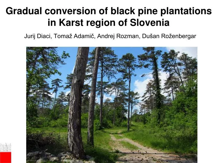 gradual conversion of black pine plantations in karst region of slovenia