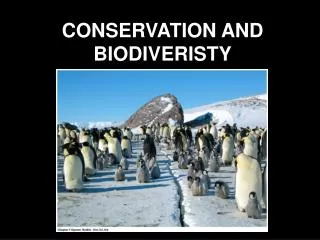 CONSERVATION AND BIODIVERISTY
