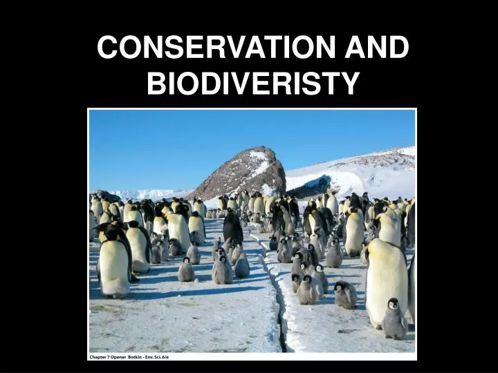 conservation and biodiveristy