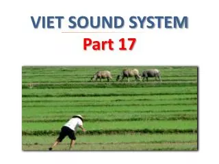 VIET SOUND SYSTEM Part 17
