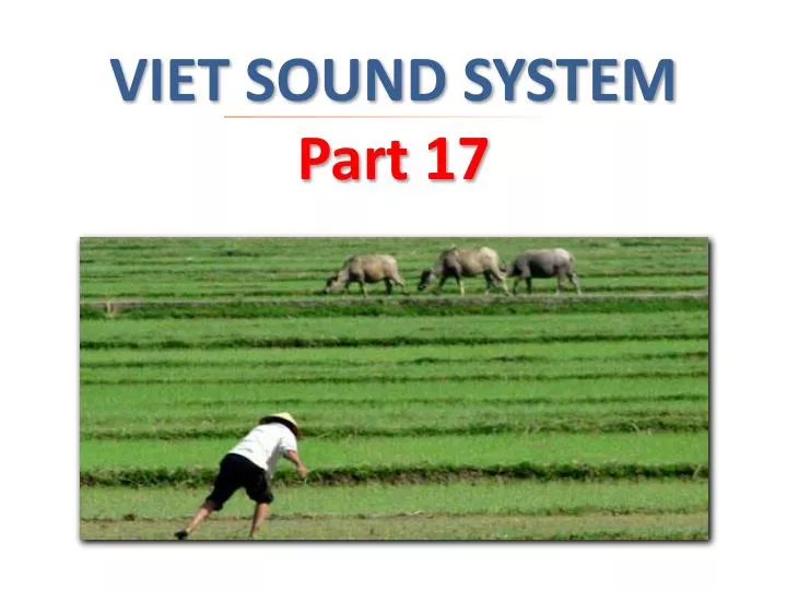 viet sound system part 17
