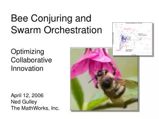 Bee Conjuring and Swarm Orchestration Optimizing Collaborative Innovation