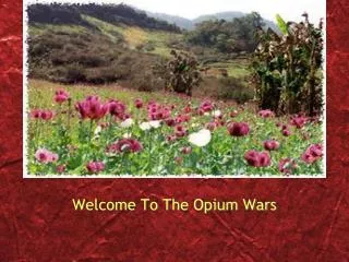 Welcome To The Opium Wars