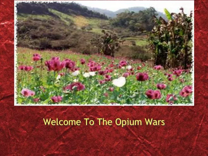 welcome to the opium wars