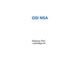 GSI NSA