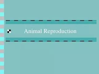 Animal Reproduction