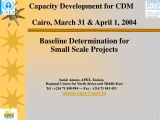 Capacity Development for CDM Cairo, March 31 &amp; April 1, 2004