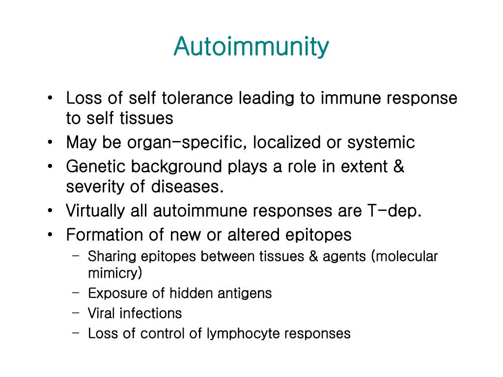 PPT - Autoimmunity PowerPoint Presentation, free download - ID:4283372