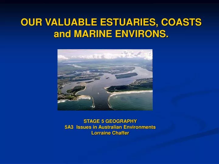 our valuable estuaries coasts and marine environs