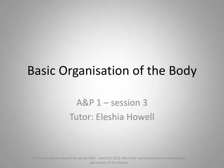 basic organisation of the body