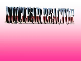 NUCLEAR REACTOR