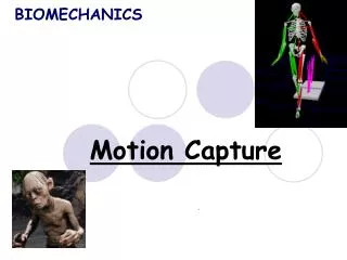 Motion Capture