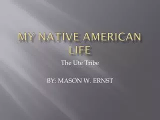 My native A merican life