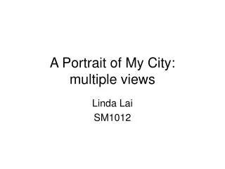 A Portrait of My City: multiple views