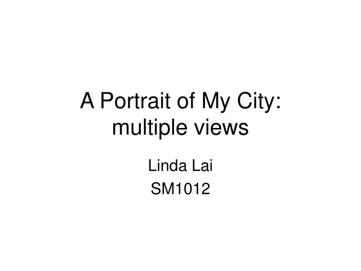 a portrait of my city multiple views