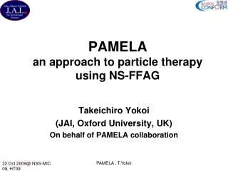 PAMELA an approach to particle therapy using NS-FFAG