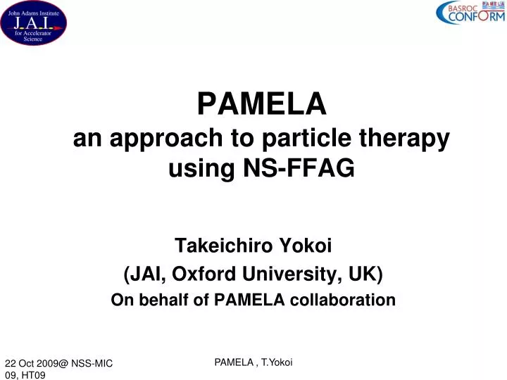 pamela an approach to particle therapy using ns ffag