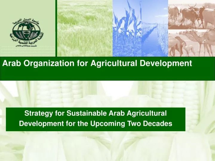 arab organization for agricultural development