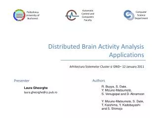 Distributed Brain Activity Analysis Applications