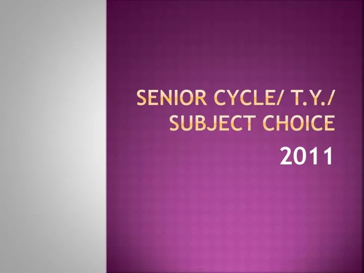 senior cycle t y subject choice