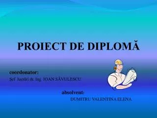 proiect de diplom